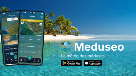 Meduseo screenshot