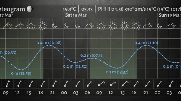 Meteogram Pro Weather Widget screenshot