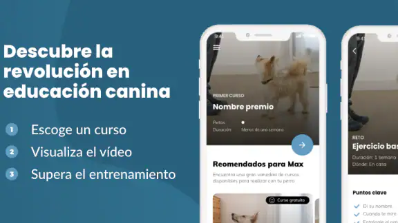Mister Cooper – Dog Trainer screenshot