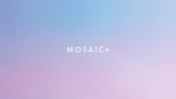 Mosaico+ Desenfoque de Fotos screenshot
