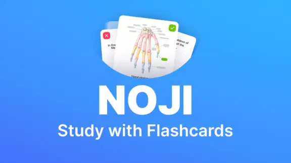 Noji: Flashcads de estudio screenshot