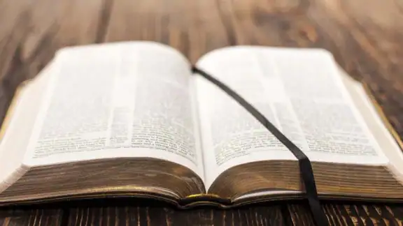 NTV Biblia Traducción Viviente screenshot