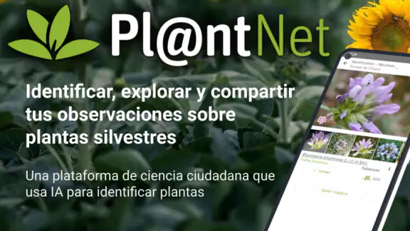 PlantNet Identifica Plantas screenshot
