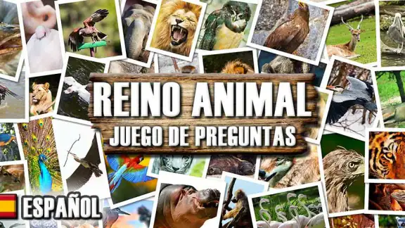 Quiz del reino animal screenshot
