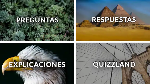 QuizzLand quiz de conocimiento screenshot