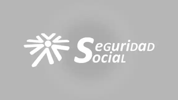 Seg-Social Seg. Social Móvil screenshot