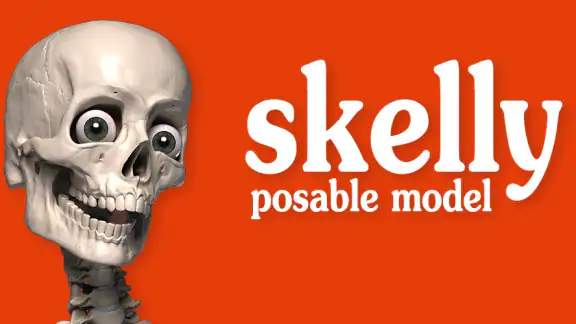 Skelly: Poseable Anatomy Model screenshot