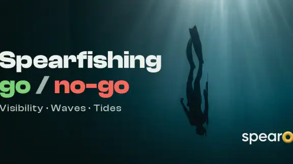 Spearo: Pesca Submarina y Olas screenshot