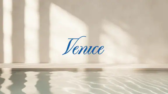 Venice AI screenshot