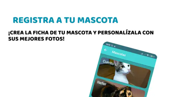 Vet2Go screenshot