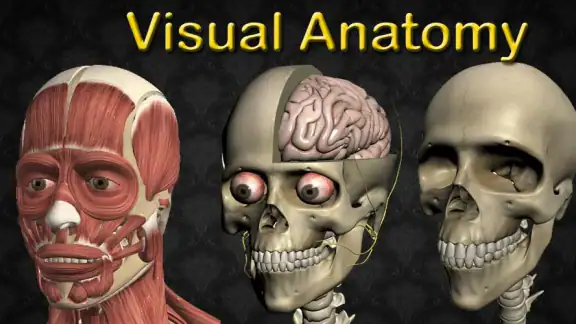 Visual Anatomy 2 screenshot