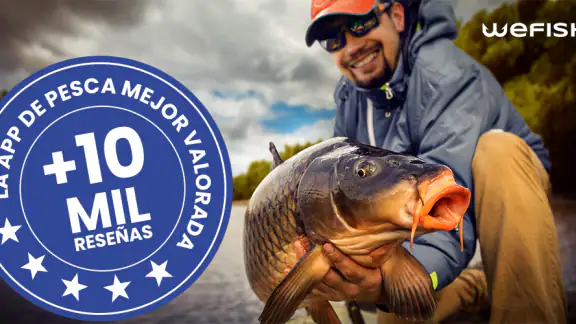 WeFish | Predicción de pesca screenshot