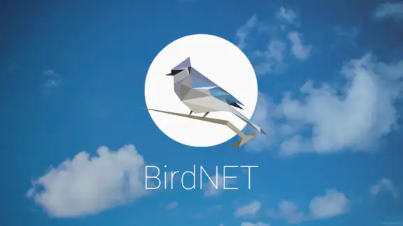 BirdNET screenshot