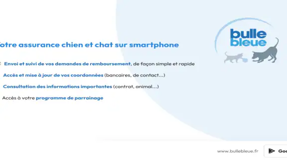 Bulle Bleue screenshot
