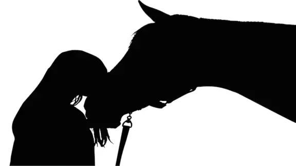 Chevaux - Quiz screenshot