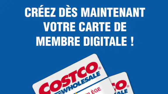 Costco Wholesale France screenshot
