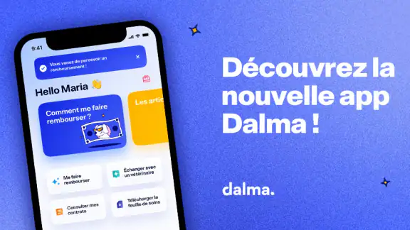 Dalma - Éducation & Assurance screenshot