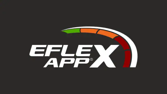 eFlexApp screenshot