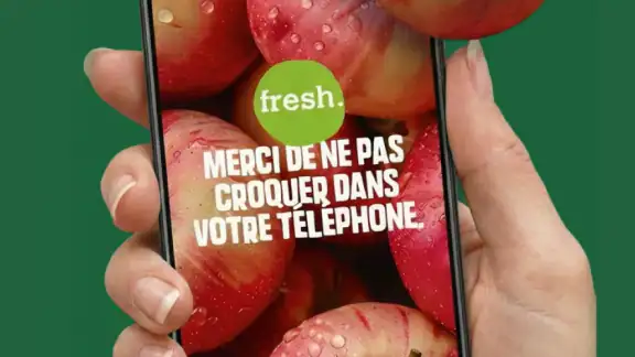 Fresh le magasin screenshot