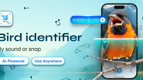 Identification des oiseaux screenshot