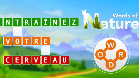 Jeu de Mots Croisés: Français screenshot