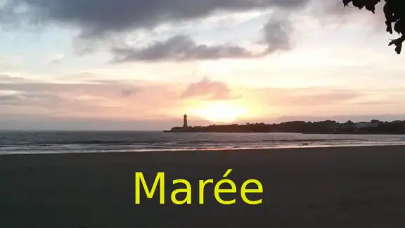 Maree screenshot