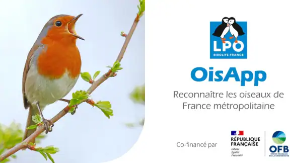 Ois'App - Oiseaux de France screenshot