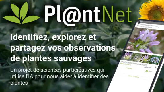 PlantNet Identification Plante screenshot