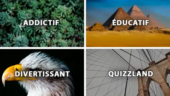 QuizzLand : quiz intelligent screenshot
