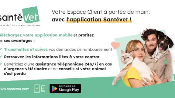 Santévet screenshot