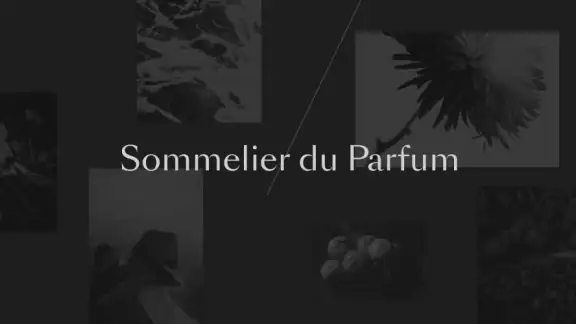 Sommelier du Parfum screenshot