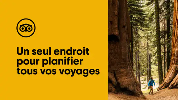 Tripadvisor : partez en voyage screenshot