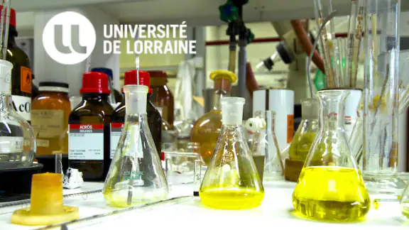 UnivLorraine screenshot