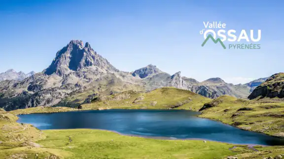 Vallée d'Ossau Pyrénées screenshot