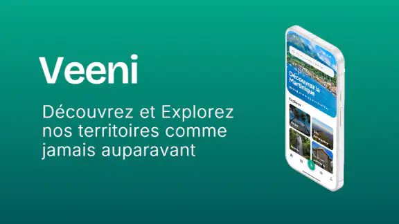 Veeni screenshot