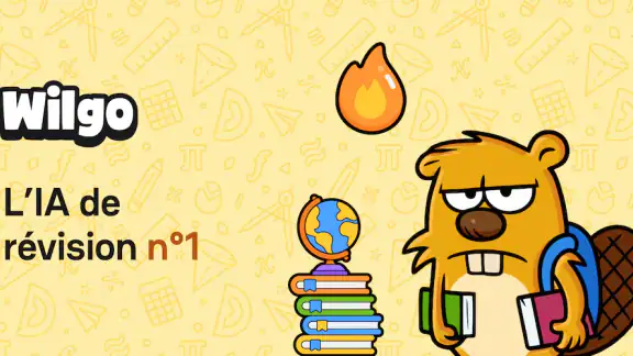 wilgo - l'IA de révision n°1 screenshot