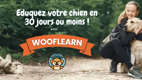 Woof Learn - Education chien screenshot