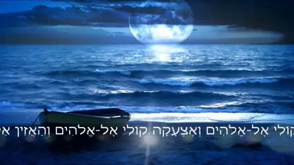 תיקון הכללי - פשוט ונוח screenshot