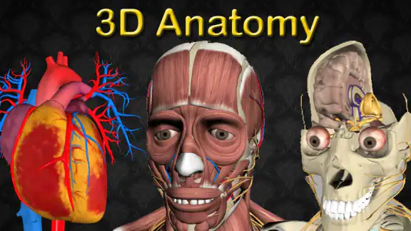 3D Bones and Organs (Anatomy) screenshot