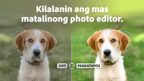 AI Photo Editor ng Lightroom screenshot