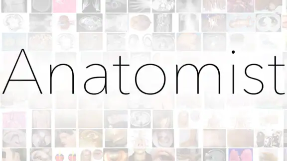 Anatomist - The Anatomy Game screenshot