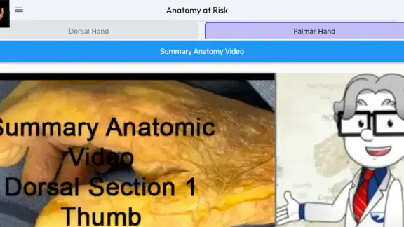 Anatomy at Risk screenshot