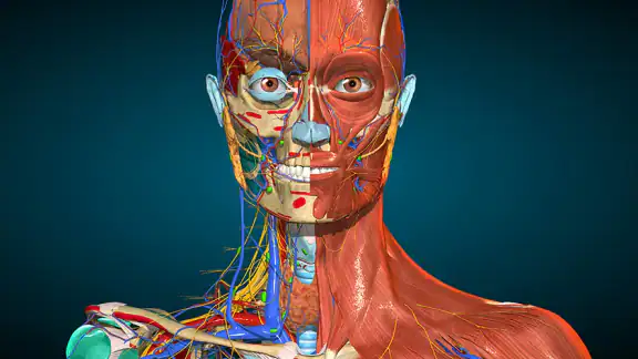 Anatomy Learning By Dr. Blanco screenshot
