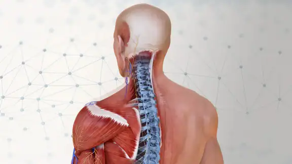 Complete Anatomy screenshot