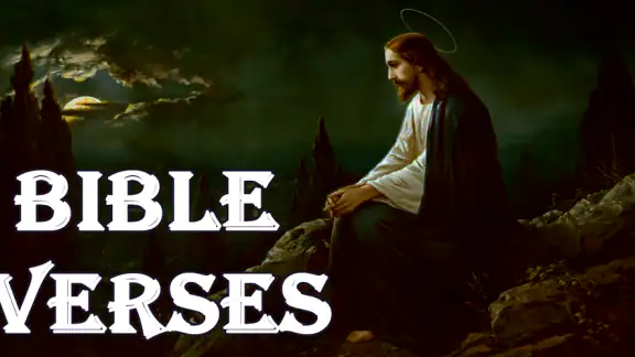 Daily Bible Verses screenshot