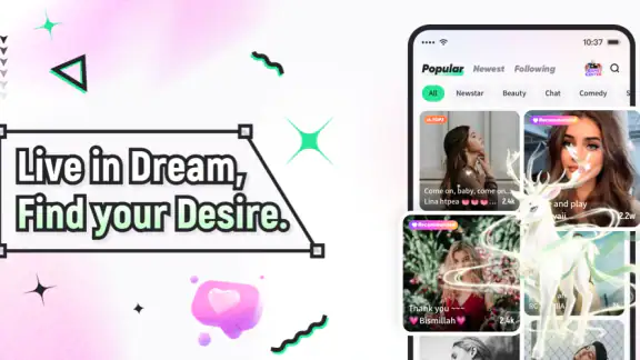 DreamLike-Video-Chat screenshot