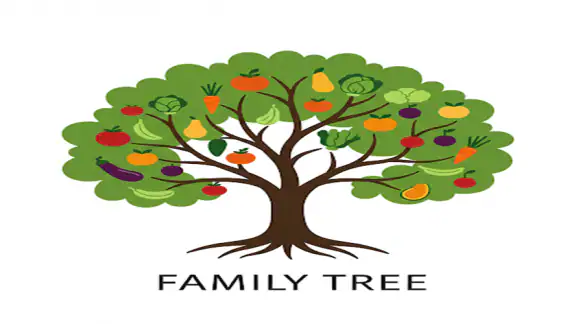 Family Tree screenshot