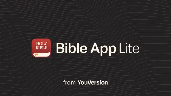 Holy Bible Offline NIV KJV App screenshot