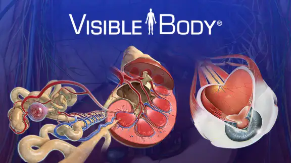 Human Anatomy Atlas 2026 screenshot