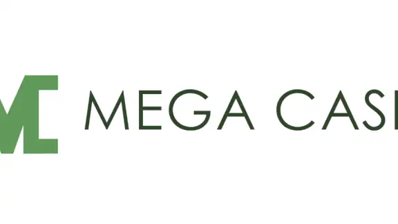 MegaCash - Online Loan Mgmt screenshot